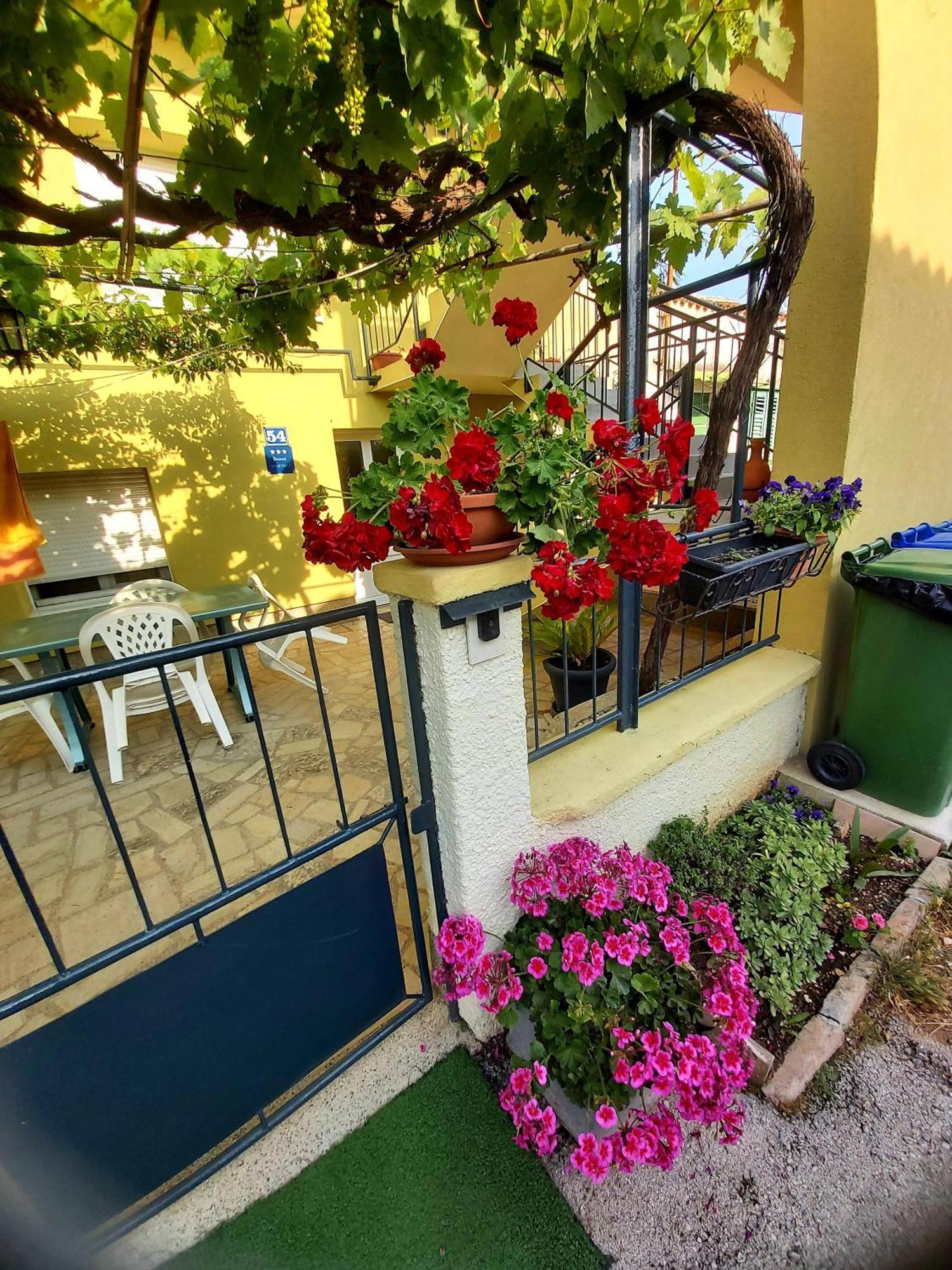 Apartmán Marija Pula Exteriér fotografie